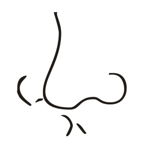nose